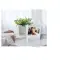 Cornice per foto digitali Wi-Fi Prixton Prado Frameo - Anteprima 2