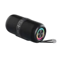 Altoparlante wireless HIT BOX 30W con USB-C e mic integrato