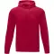 Felpa con cappuccio unisex CHARON 240 g/m² con stampa - Anteprima 11