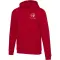 Felpa con cappuccio unisex JASPER 280 g/m² con stampa logo - Anteprima 16