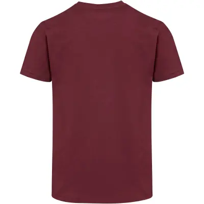 T-shirt unisex BALFOUR in cotone biologico OCS 200 g/m² - Immagine 16