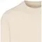 Maglione a girocollo unisex JASPER in tessuto riciclato OCS 280 g/m² - Anteprima 13