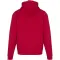 Felpa con cappuccio unisex JASPER in cotone OCS 280 g/m² - Anteprima 14