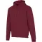 Felpa con cappuccio unisex JASPER in cotone OCS 280 g/m² - Anteprima 17