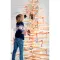 Set per colorare WINDHAM 3 decorazioni natalizie - Anteprima 2