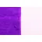Asciugamano in spugna di cotone 50x100 TERRY M - Anteprima 31