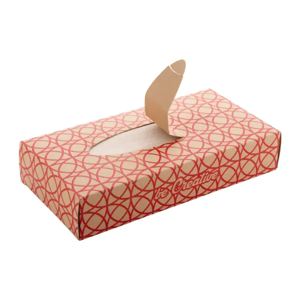 Scatola dispenser per fazzolettini CREASNEEZE ECO - Immagine 4