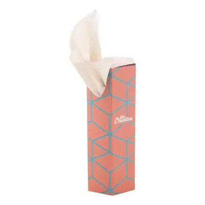 Scatola dispenser per fazzolettini CREASNEEZE HEX - Immagine 1