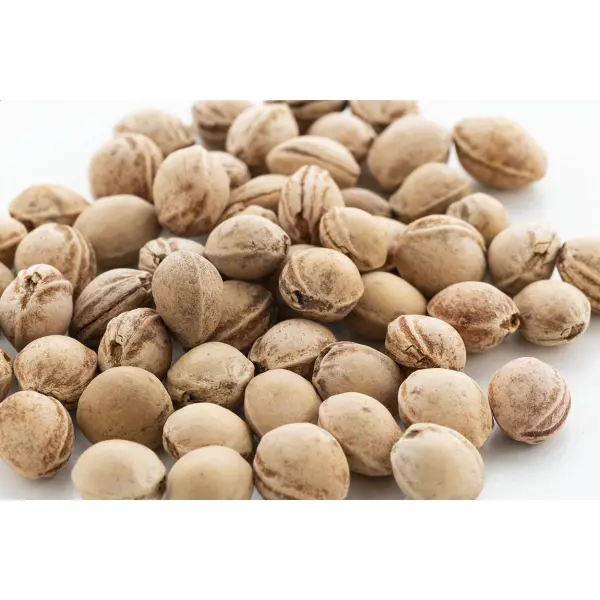 Cuscino con noccioli di ciliegia PITHEAT - Immagine 5