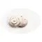 Spilla magnetica DOMEBADGE - Anteprima 11