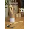 Cucchiaio legno  personalizzabile SANDTRASK - Anteprima 9