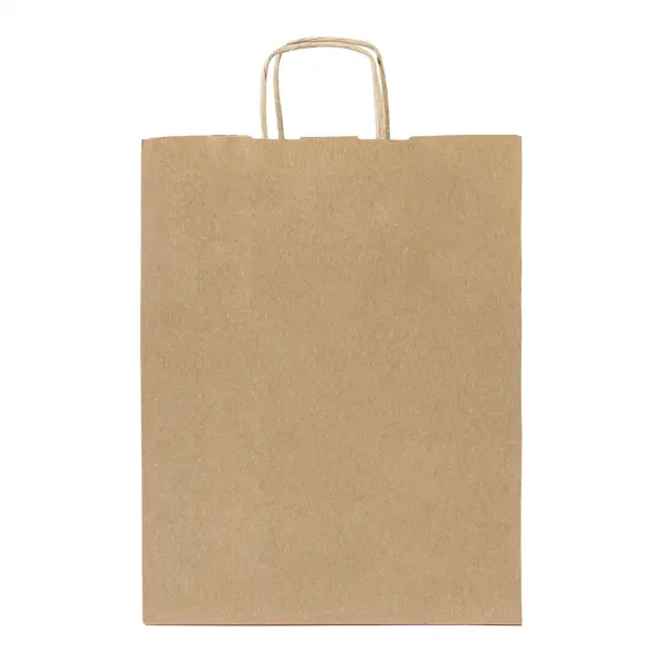Busta regalo in carta PAPBAG L personalizzabile, 38x26x58 cm - Immagine 3
