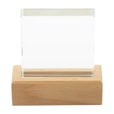 Trofeo RECTOFI - Immagine 3