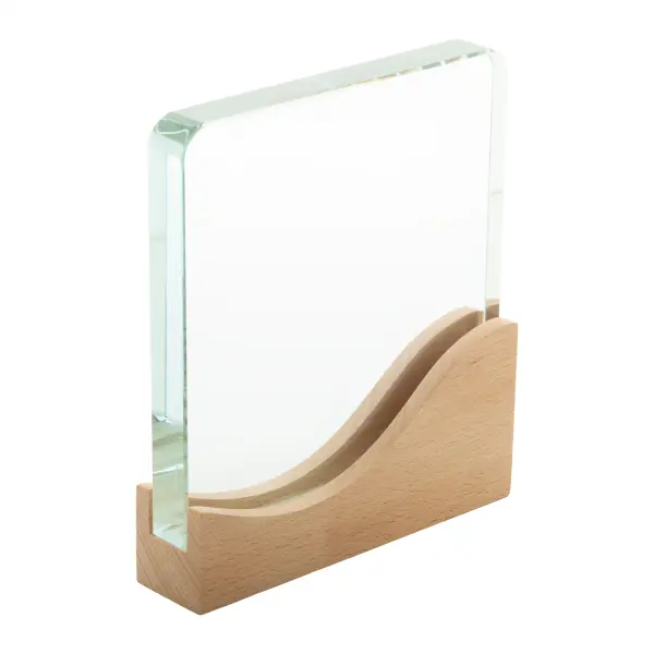 Trofeo WAVOFI - Immagine 4