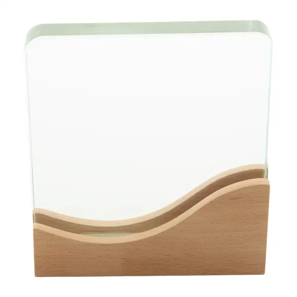 Trofeo WAVOFI - Immagine 5
