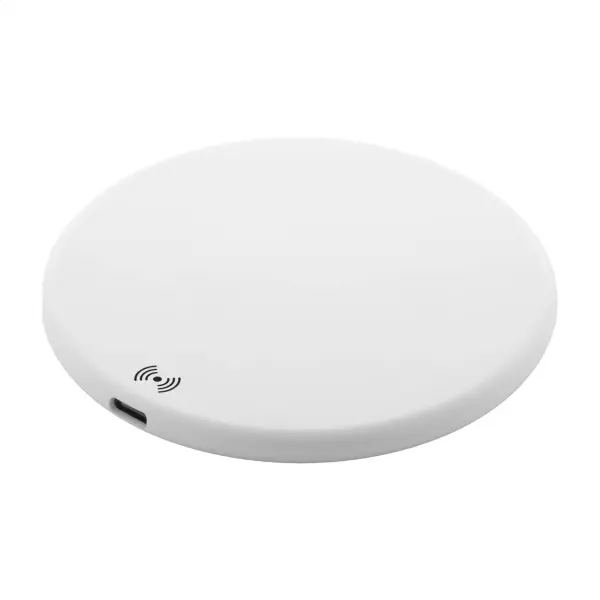 Caricabatterie wireless in RABS RENERGY - Immagine 2
