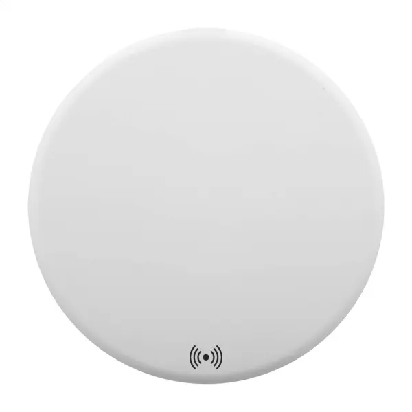 Caricabatterie wireless in RABS RENERGY - Immagine 3