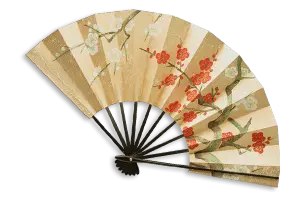 Folding Fan