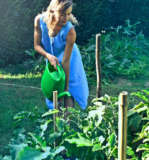 Giardinaggio