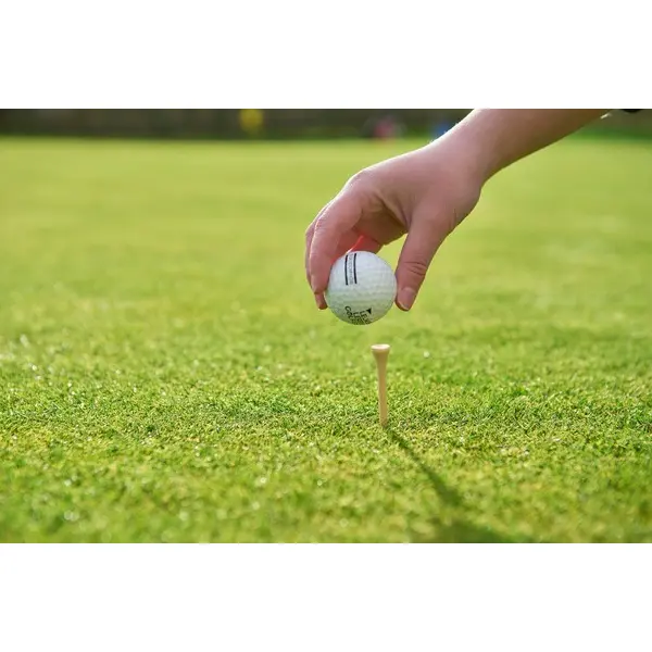 Set tee da golf NYSSA in legno promozionale - Immagine 9