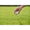 Set tee da golf NYSSA in legno promozionale - Anteprima 9