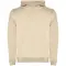 Felpa con cappuccio da bambino URBAN 280 g/m² con stampa - Anteprima 5