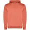 Felpa con cappuccio da bambino URBAN 280 g/m² con stampa - Anteprima 14