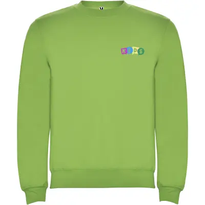 Felpa girocollo bambino CLASICA da 280 g/m² con stampa - Immagine 61