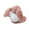 Peluche coniglietto con felpa - BUNNY - Anteprima 6