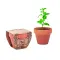 Semi di menta in vaso - MINT POT - Anteprima 1