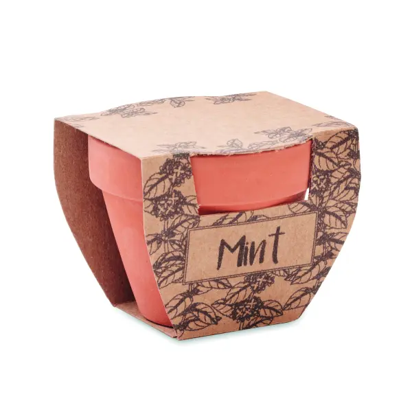 Semi di menta in vaso - MINT POT - Immagine 3