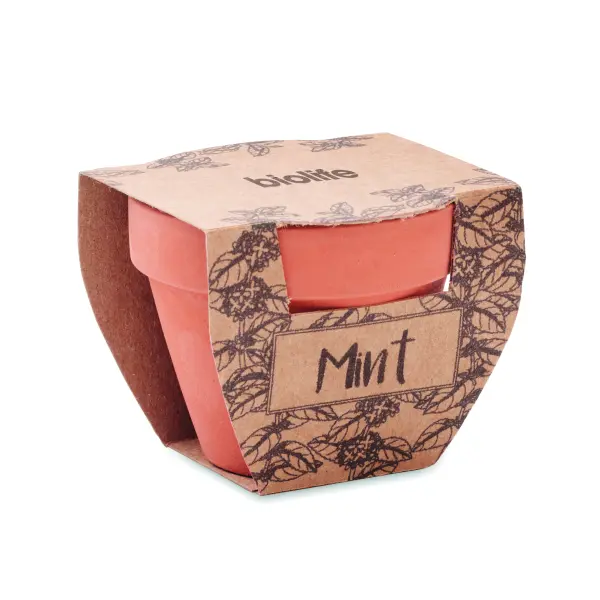 Semi di menta in vaso - MINT POT - Immagine 4