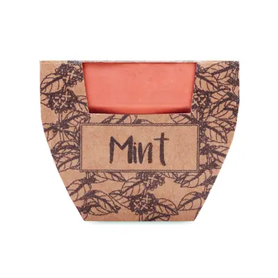 Semi di menta in vaso - MINT POT - Immagine 2