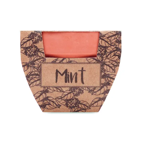 Semi di menta in vaso - MINT POT - Immagine 2