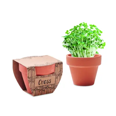 Semi di crescione in vaso - CRESS POT