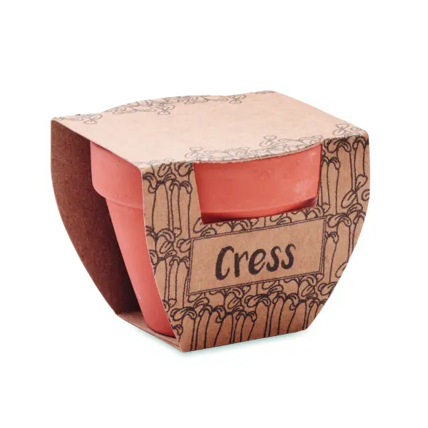 Semi di crescione in vaso - CRESS POT - Immagine 3