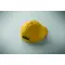 Cappellino BUZZ KIDS 180 gr/m² personalizzabile - Anteprima 24
