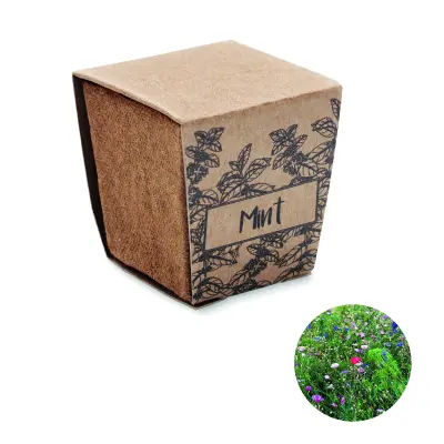 Kit per la coltivazione di semi - MINT KIT