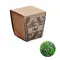 Kit per la coltivazione di semi - MINT KIT - Anteprima 1