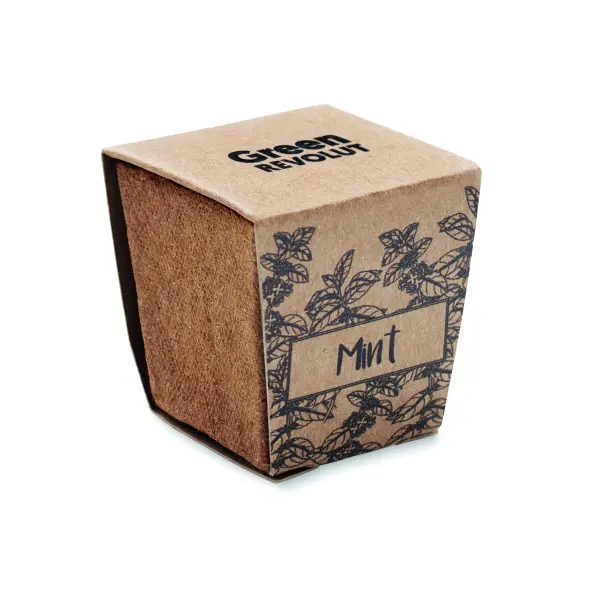 Kit per la coltivazione di semi - MINT KIT - Immagine 6