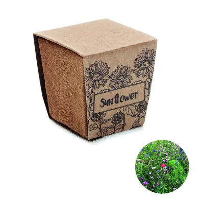 Kit per la coltivazione di semi - SUNFLOWER KIT - Immagine 1