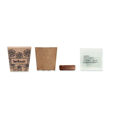 Kit per la coltivazione di semi - SUNFLOWER KIT - Immagine 2