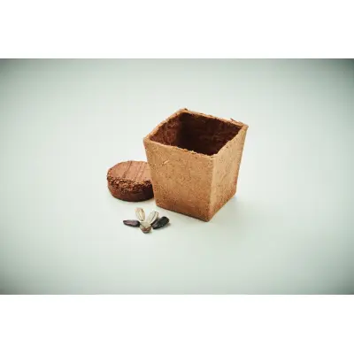Kit per la coltivazione di semi - SUNFLOWER KIT - Immagine 3