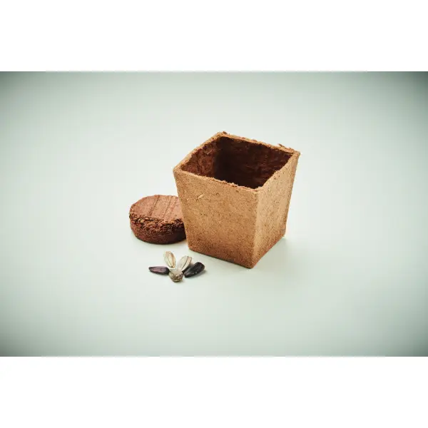 Kit per la coltivazione di semi - SUNFLOWER KIT - Immagine 3