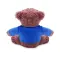 Peluches JOHNNY T 40 cm personalizzato con stampa - Anteprima 3