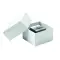 Coppa cubica KUBEWARD in vetro 17x22x26 cm - Anteprima 4