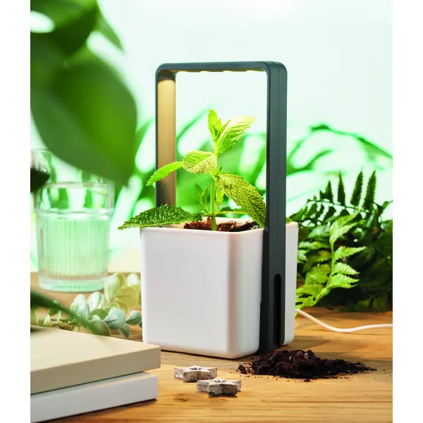 Giardino da interno LUSHLET 25 cm promozionale - Immagine 5