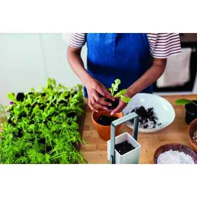 Giardino da interno LUSHLET 25 cm promozionale - Immagine 2