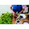 Giardino da interno LUSHLET 25 cm promozionale - Anteprima 2