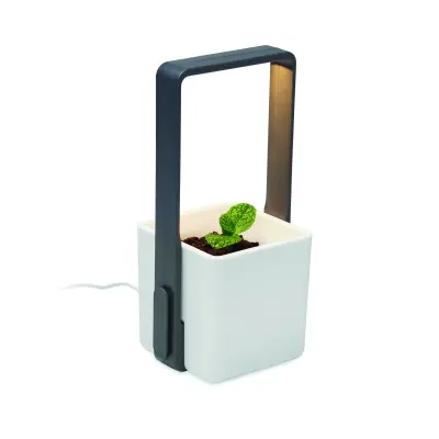 Giardino da interno LUSHLET 25 cm promozionale - Immagine 7